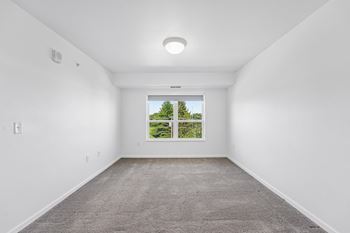 Carpeting